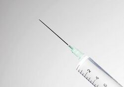 代怀初期拉肚子现象，原因与应对策略